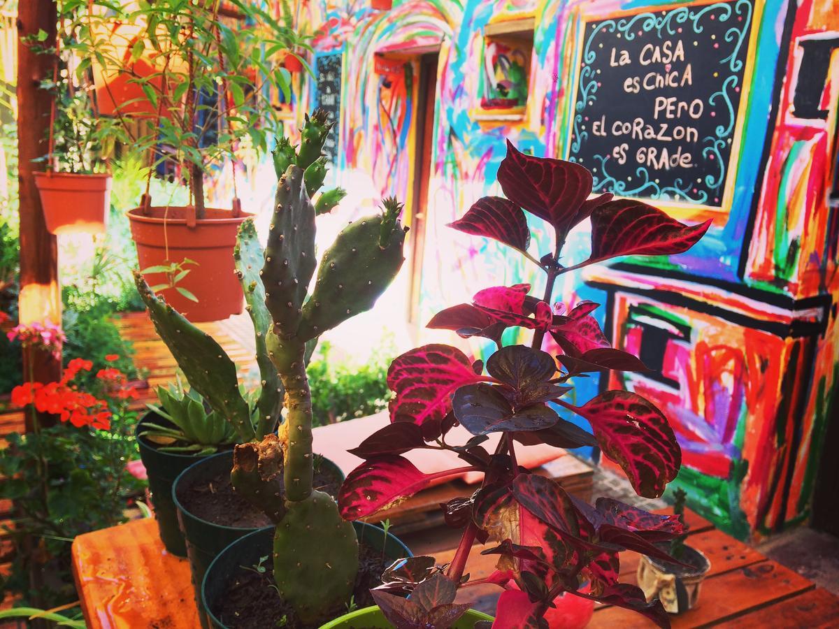 La Puerta Verde Hostel & Bar 우마우아카 외부 사진